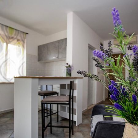 Apartments Ina & Ika Rovinj Extérieur photo